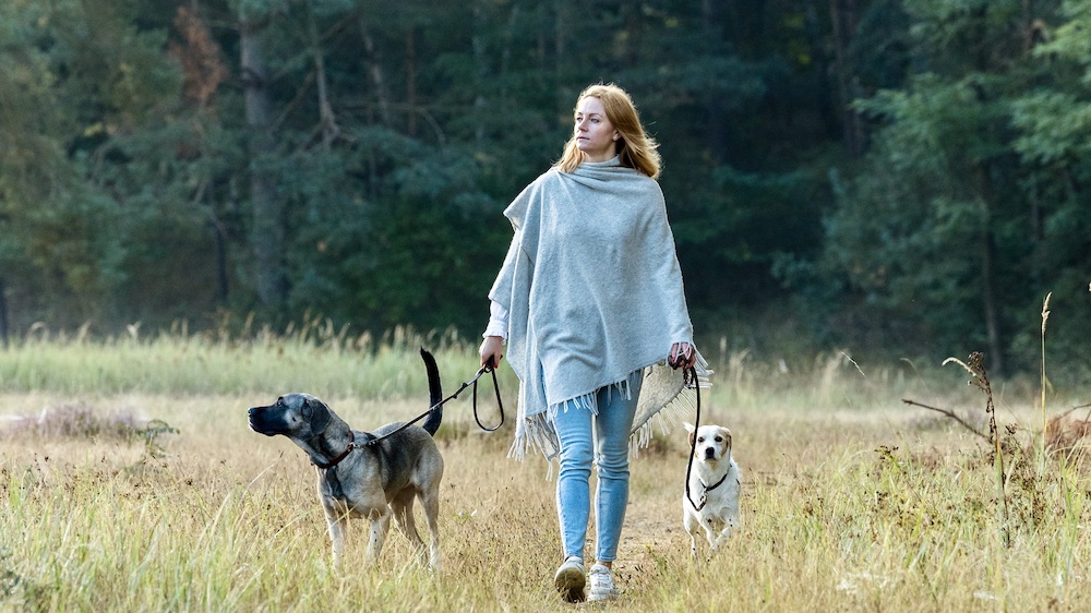 Eine Frau geht mit Hunden über eine grüne Wiese. Es handelt sich um Agnes Janova von der Hundeschule "Unser bester Freund" aus Bergedorf - Hamburg