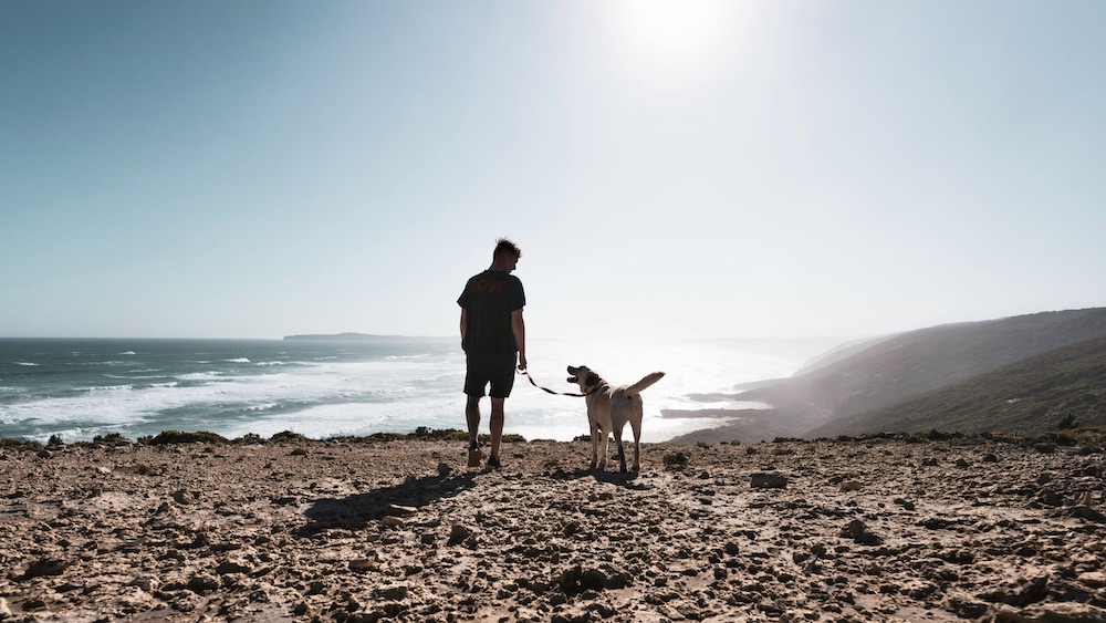 Ein Mann mit einem Hund am Strand. Das Foto wurde im Gegenlicht fotografiert.